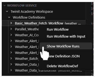 ide workflow runs